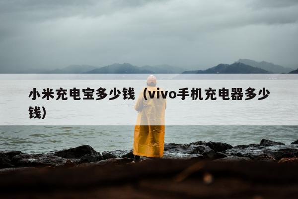 小米充电宝多少钱（vivo手机充电器多少钱）