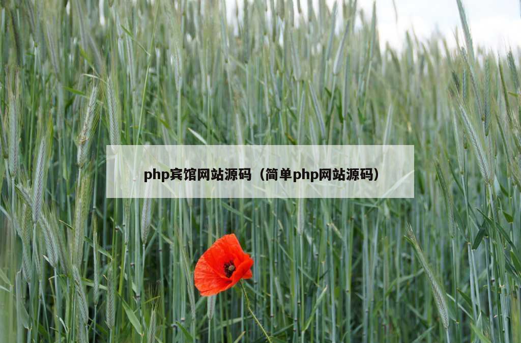 php宾馆网站源码（简单php网站源码）