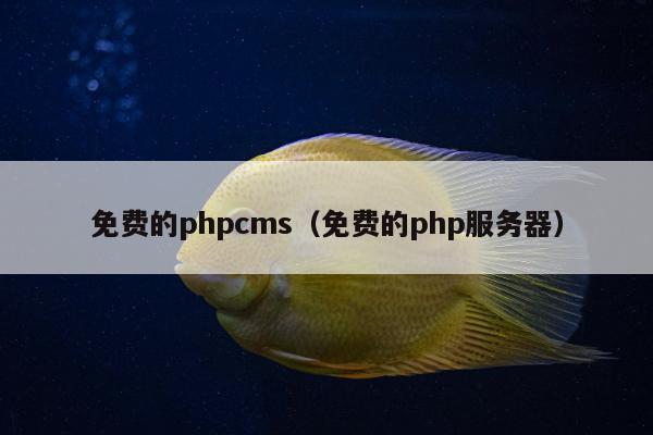 免费的phpcms（免费的php服务器）