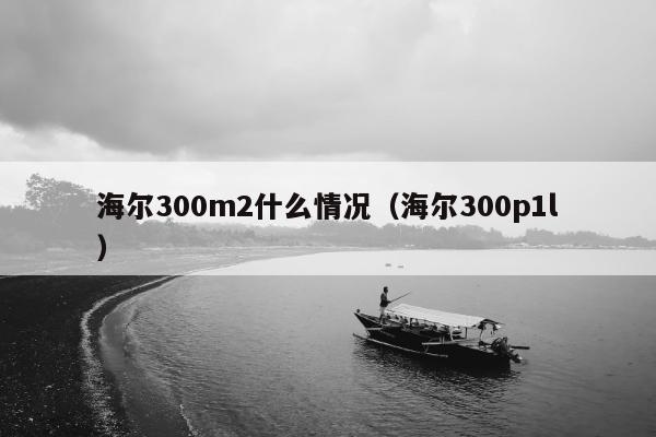 海尔300m2什么情况（海尔300p1l）