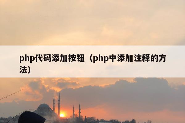 php代码添加按钮（php中添加注释的方法）