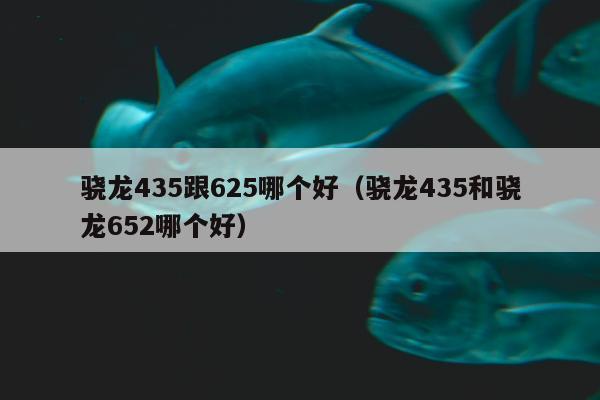 骁龙435跟625哪个好（骁龙435和骁龙652哪个好）