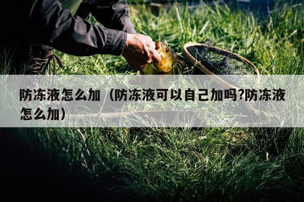 防冻液怎么加（防冻液可以自己加吗?防冻液怎么加）