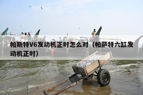 帕斯特V6发动机正时怎么对（帕萨特六缸发动机正时）