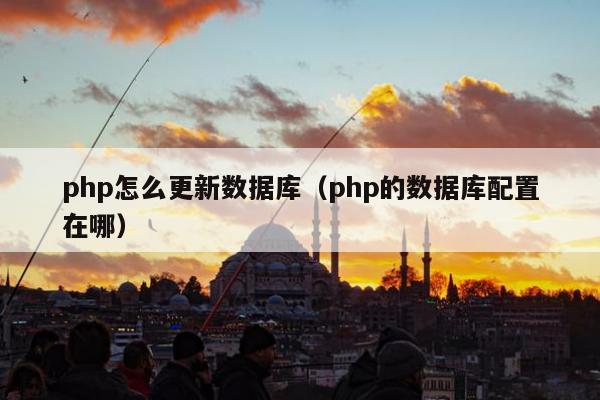 php怎么更新数据库（php的数据库配置在哪）