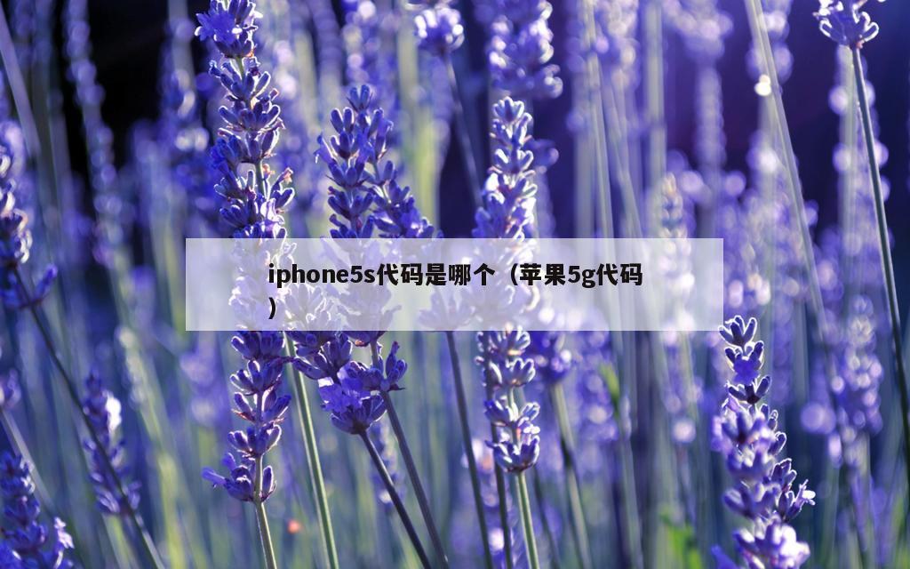 iphone5s代码是哪个（苹果5g代码）