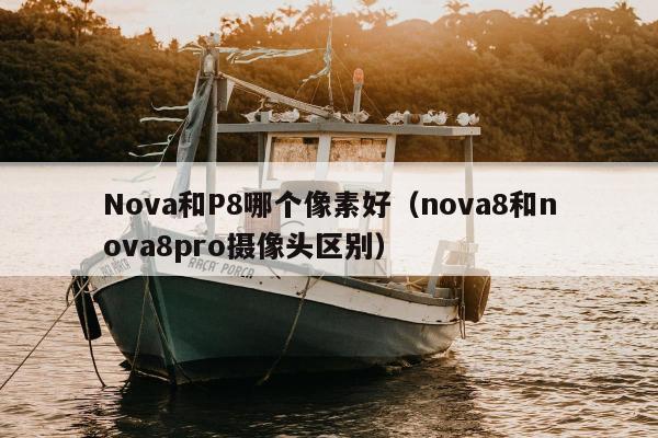 Nova和P8哪个像素好（nova8和nova8pro摄像头区别）