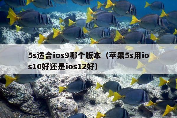 5s适合ios9哪个版本（苹果5s用ios10好还是ios12好）