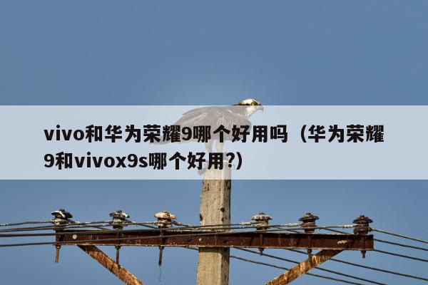 vivo和华为荣耀9哪个好用吗（华为荣耀9和vivox9s哪个好用?）