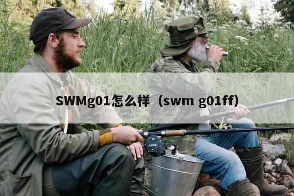 SWMg01怎么样（swm g01ff）