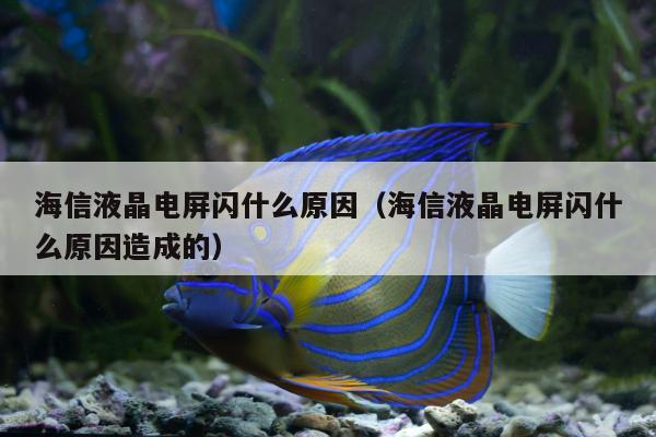 海信液晶电屏闪什么原因（海信液晶电屏闪什么原因造成的）