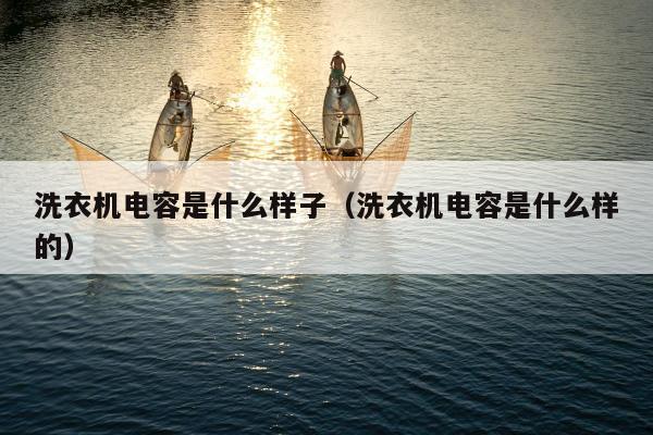 洗衣机电容是什么样子（洗衣机电容是什么样的）