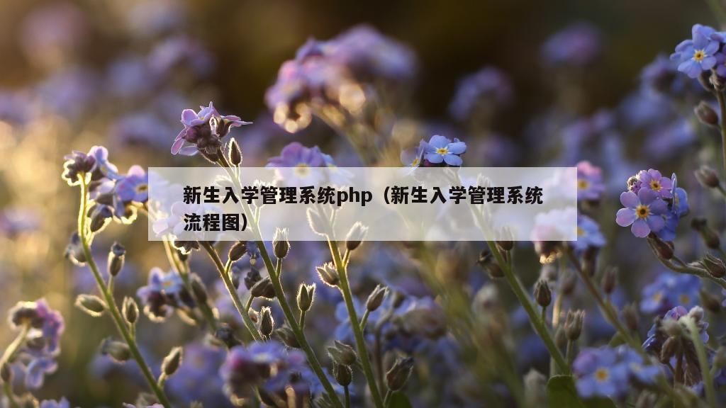 新生入学管理系统php（新生入学管理系统流程图）