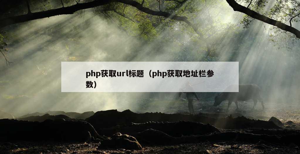 php获取url标题（php获取地址栏参数）