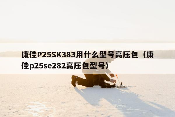 康佳P25SK383用什么型号高压包（康佳p25se282高压包型号）