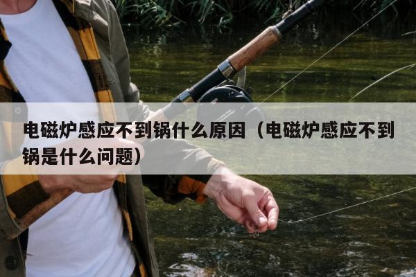 电磁炉感应不到锅什么原因（电磁炉感应不到锅是什么问题）