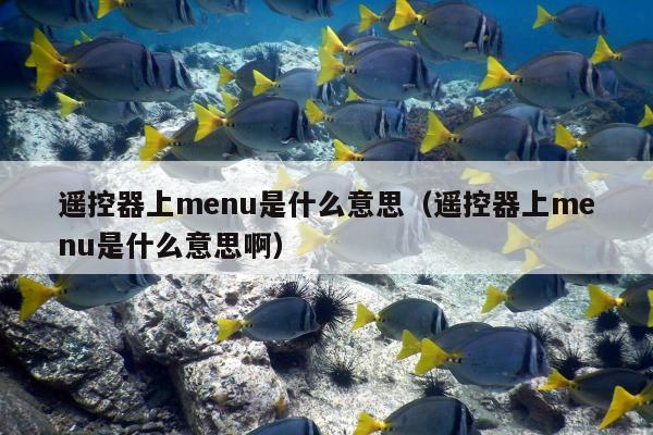 遥控器上menu是什么意思（遥控器上menu是什么意思啊）