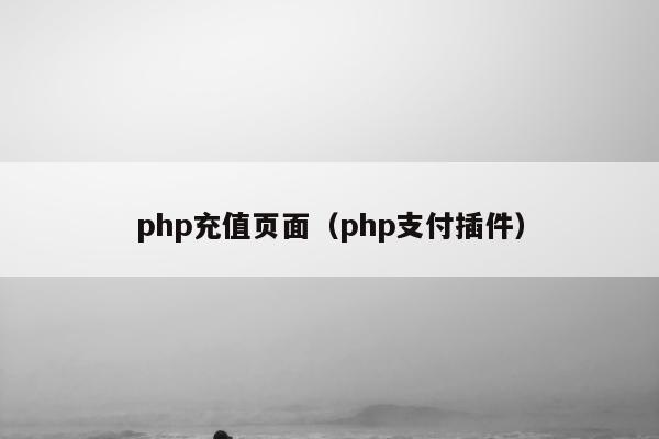 php充值页面（php支付插件）