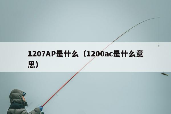 1207AP是什么（1200ac是什么意思）