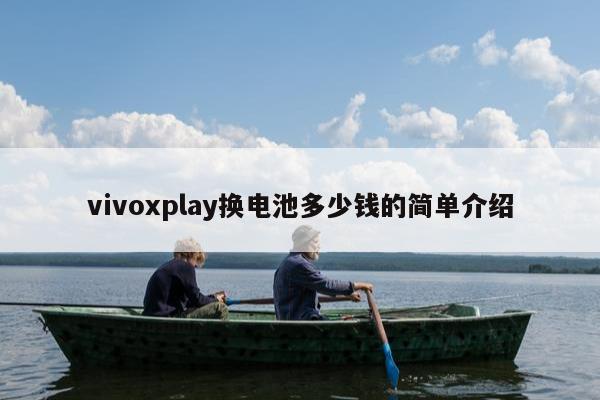 vivoxplay换电池多少钱的简单介绍