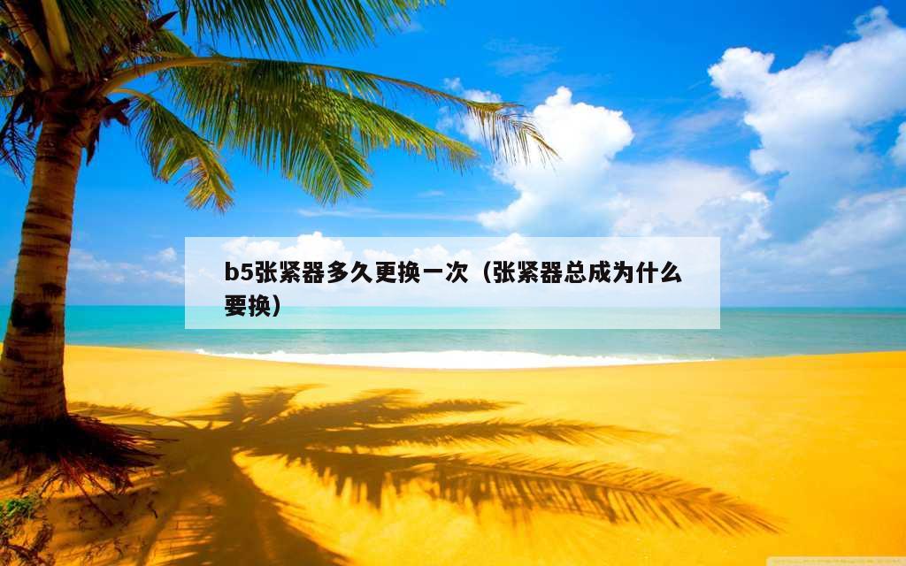 b5张紧器多久更换一次（张紧器总成为什么要换）