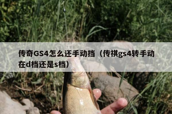 传奇GS4怎么还手动挡（传祺gs4转手动在d档还是s档）