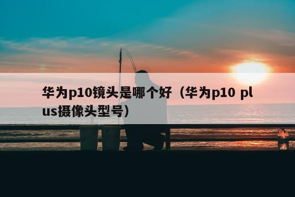 华为p10镜头是哪个好（华为p10 plus摄像头型号）