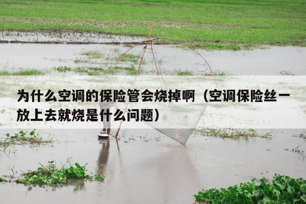 为什么空调的保险管会烧掉啊（空调保险丝一放上去就烧是什么问题）