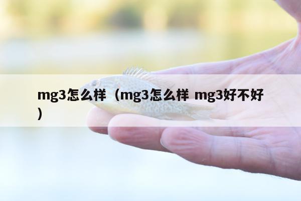 mg3怎么样（mg3怎么样 mg3好不好）