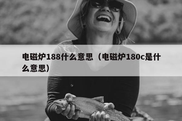 电磁炉188什么意思（电磁炉180c是什么意思）