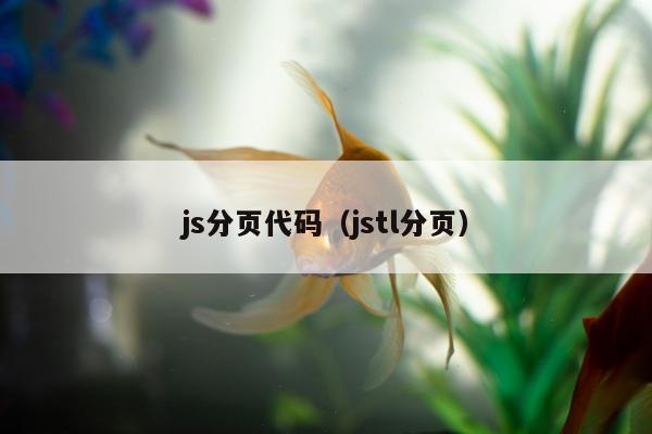 js分页代码（jstl分页）