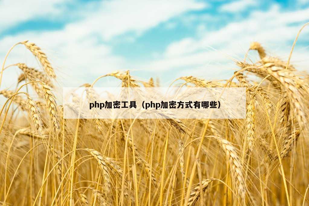 php加密工具（php加密方式有哪些）