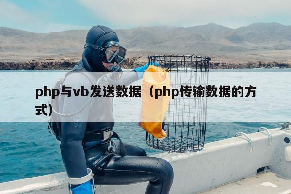 php与vb发送数据（php传输数据的方式）