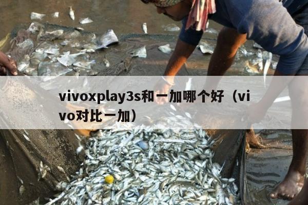 vivoxplay3s和一加哪个好（vivo对比一加）