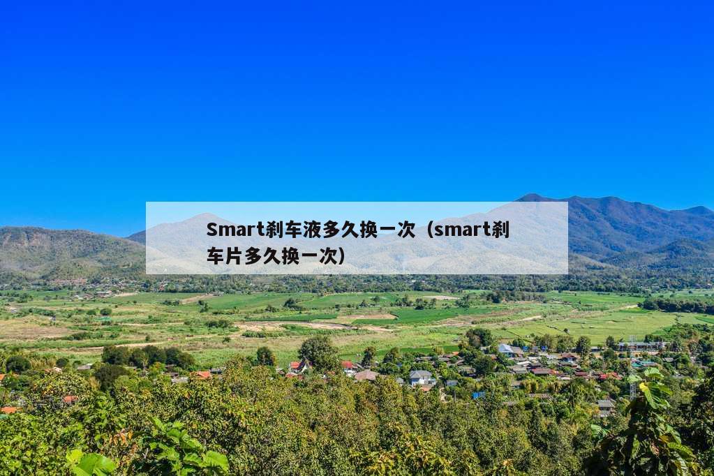 Smart刹车液多久换一次（smart刹车片多久换一次）