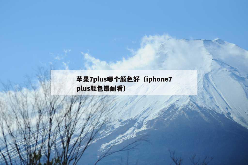 苹果7plus哪个颜色好（iphone7plus颜色最耐看）