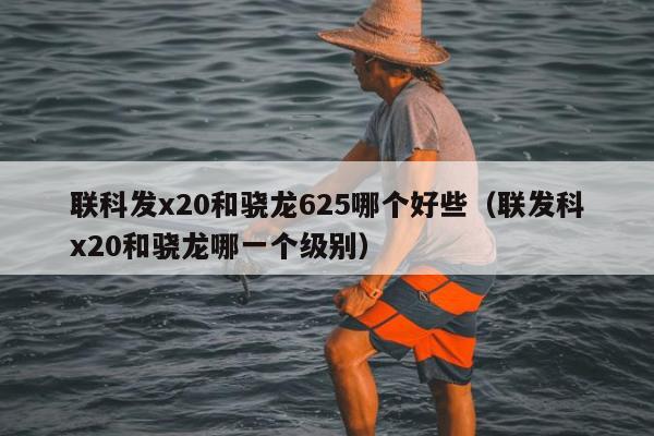 联科发x20和骁龙625哪个好些（联发科x20和骁龙哪一个级别）