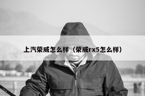 上汽荣威怎么样（荣威rx5怎么样）