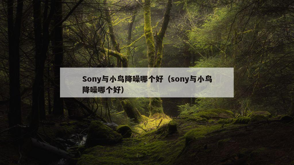 Sony与小鸟降噪哪个好（sony与小鸟降噪哪个好）