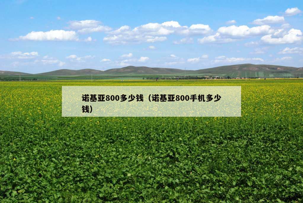 诺基亚800多少钱（诺基亚800手机多少钱）