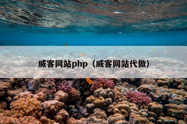 威客网站php（威客网站代做）