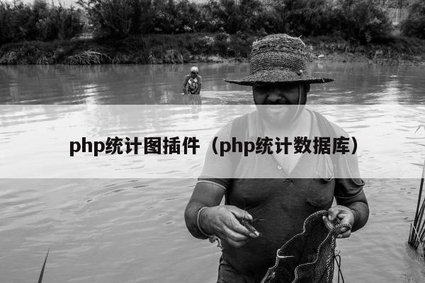 php统计图插件（php统计数据库）