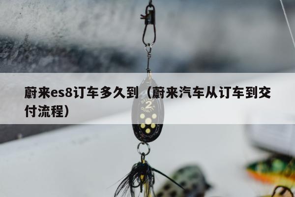 蔚来es8订车多久到（蔚来汽车从订车到交付流程）