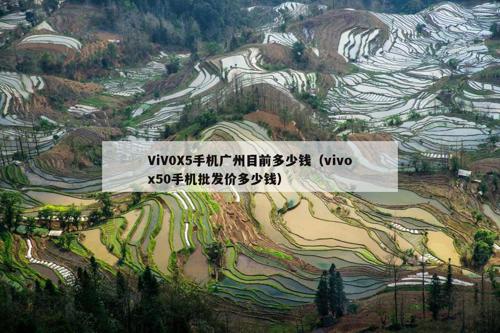 ViV0X5手机广州目前多少钱（vivox50手机批发价多少钱）