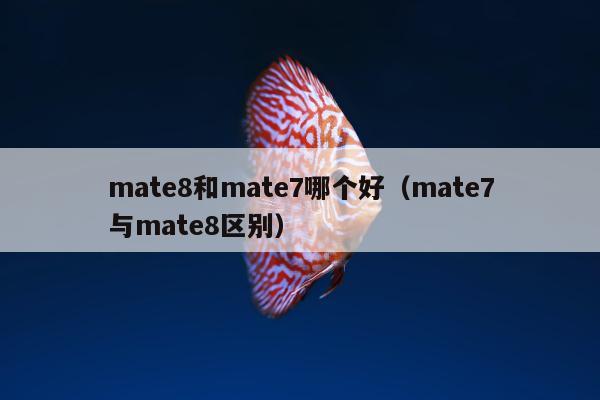 mate8和mate7哪个好（mate7与mate8区别）