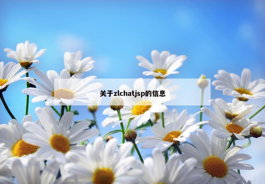 关于zlchatjsp的信息