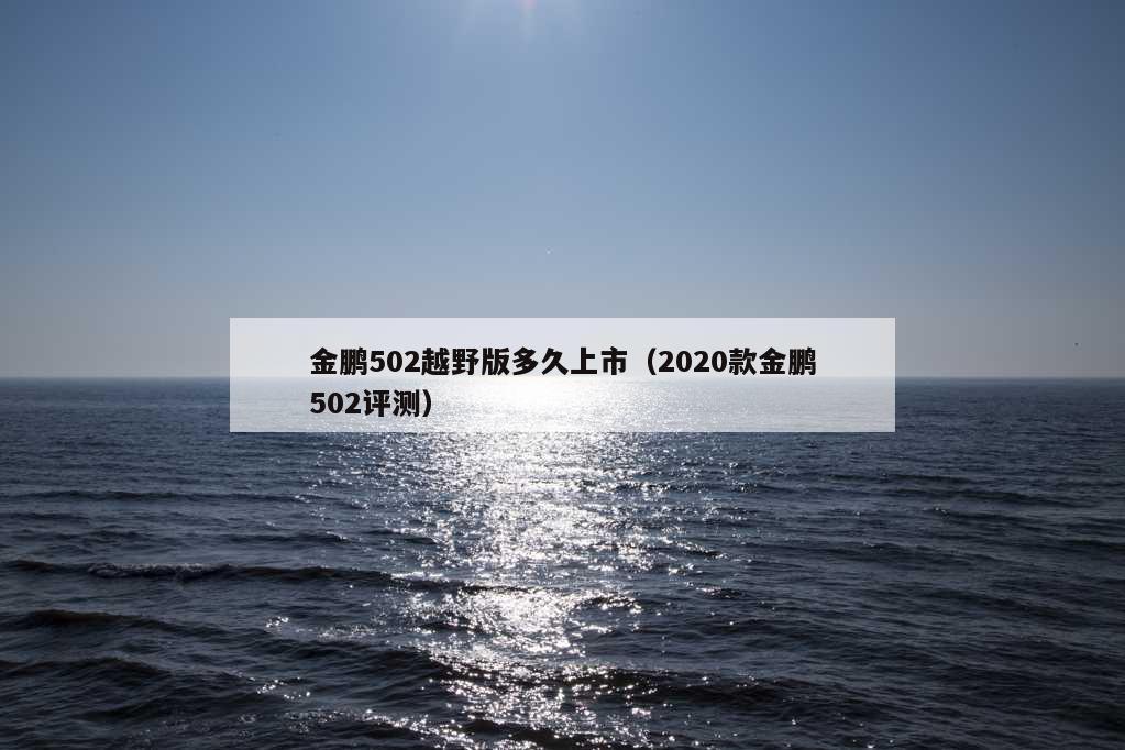 金鹏502越野版多久上市（2020款金鹏502评测）