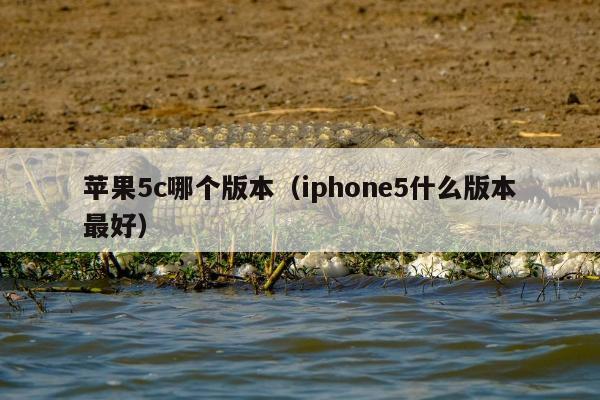 苹果5c哪个版本（iphone5什么版本最好）