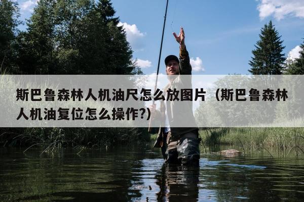 斯巴鲁森林人机油尺怎么放图片（斯巴鲁森林人机油复位怎么操作?）