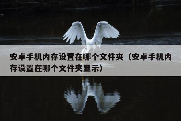 安卓手机内存设置在哪个文件夹（安卓手机内存设置在哪个文件夹显示）